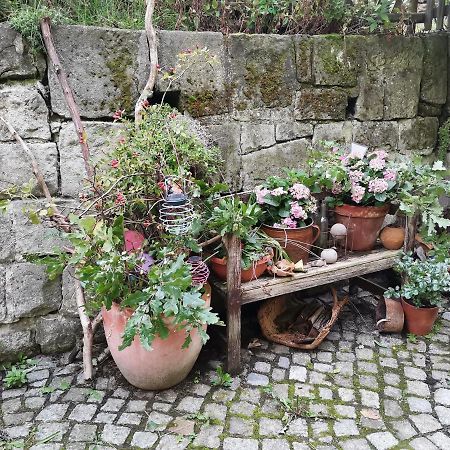 Auszeit Apartman Freital Kültér fotó